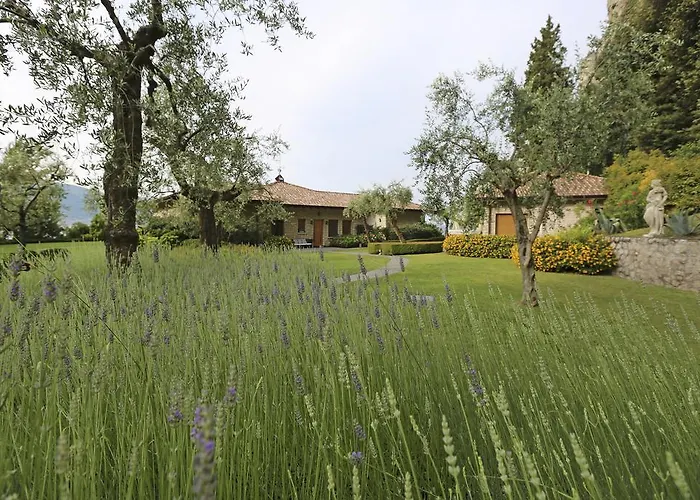 Torre Degli Ulivi Bed & Breakfast