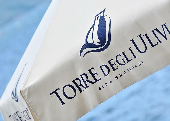 Torre Degli Ulivi Bed & Breakfast