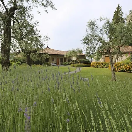 Torre Degli Ulivi Bed & Breakfast