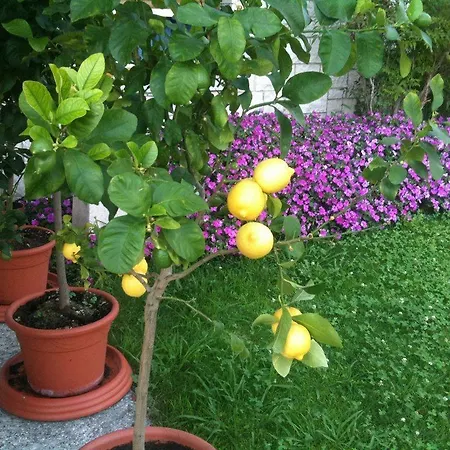 Panzió Torre Degli Ulivi Tignale