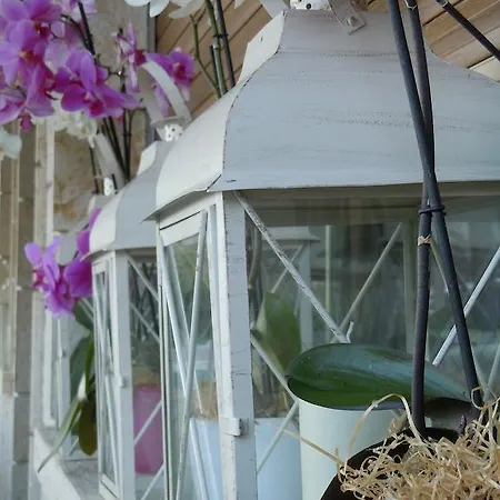 Bed & Breakfast Torre Degli Ulivi