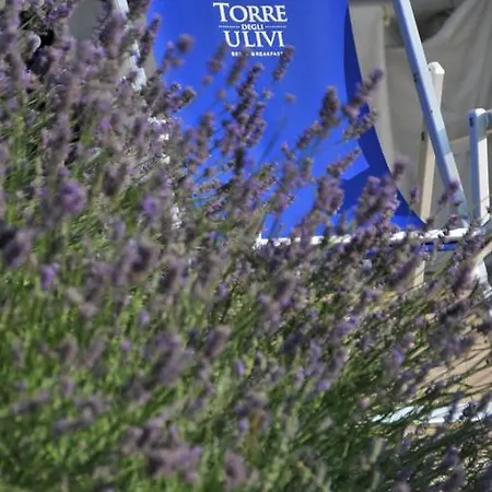 לינה וארוחת בוקר Torre Degli Ulivi 4*